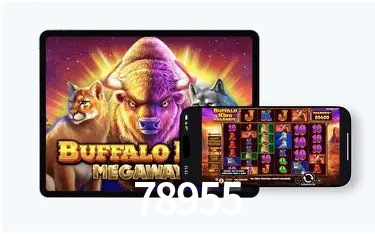78955 Bet